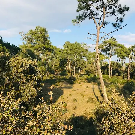 Du Marin Art & Ocean Apartament Saint-Jean-de-Monts